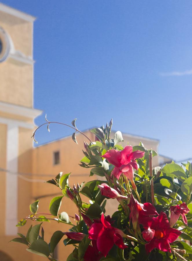 B&B San Trifone Adelfia エクステリア 写真